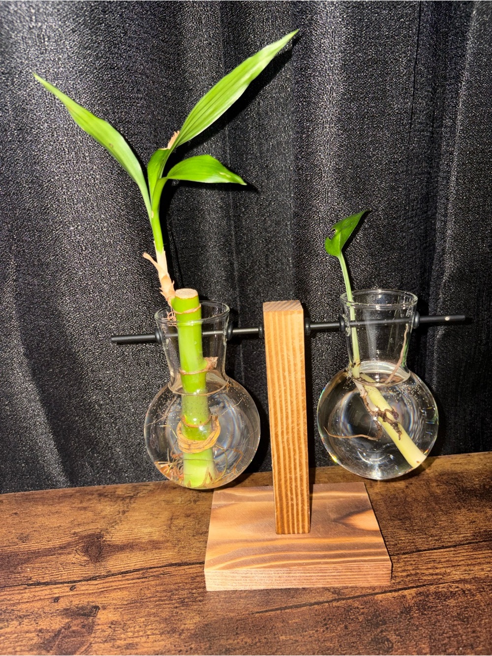 Double Glass Hanging Bud Vase Set with Wooden Stand - Clear Glass